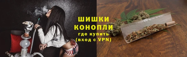 трава Великий Новгород
