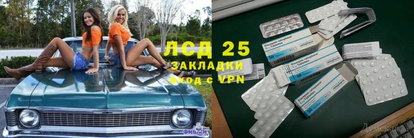 ГАЛЛЮЦИНОГЕННЫЕ ГРИБЫ Михайловск